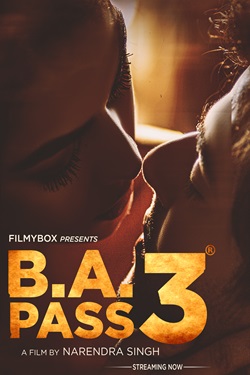 BA Pass 3 (2021) Hindi Full Movie Original WEBRip ESubs 1080p 720p 480p Download