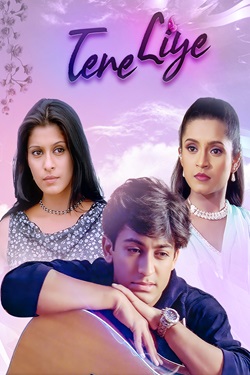 Tere Liye (2001) Hindi Full Movie Original WEBRip ESubs 1080p 720p 480p Download